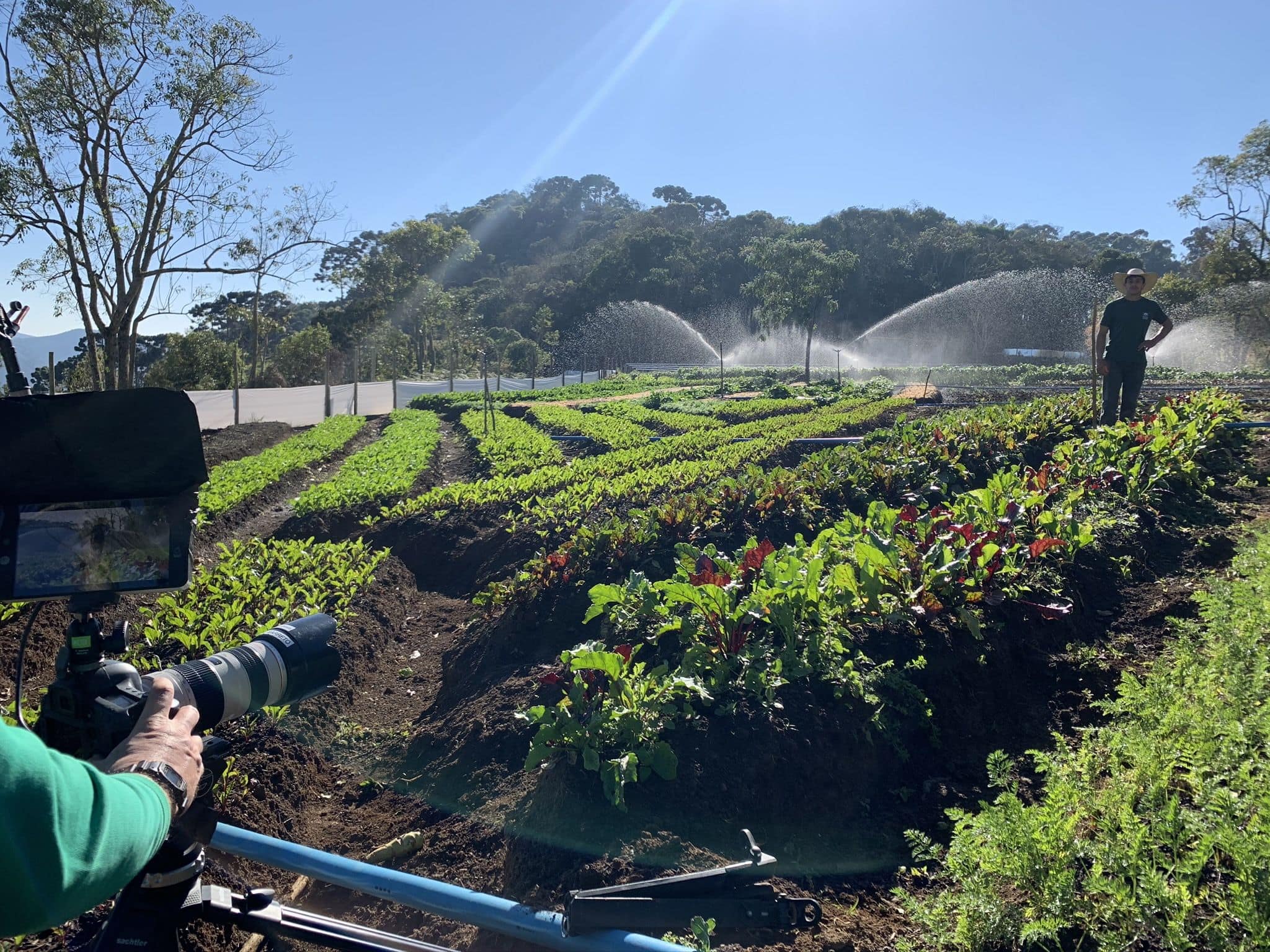 Hortas da fazenda sendo irrigadas